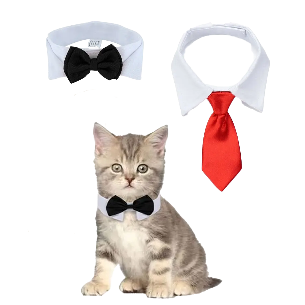 Cute Cat Bow Tie