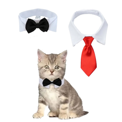 Cute Cat Bow Tie