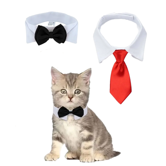 Cute Cat Bow Tie