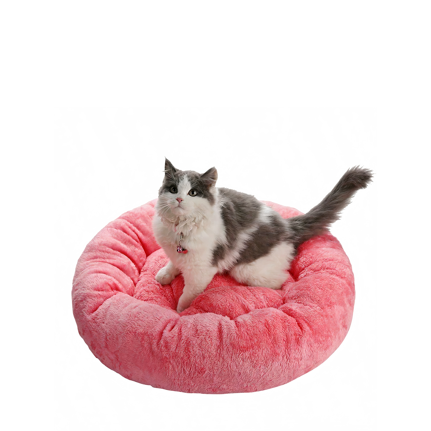 Rose Round Cat Bed - Catcorns