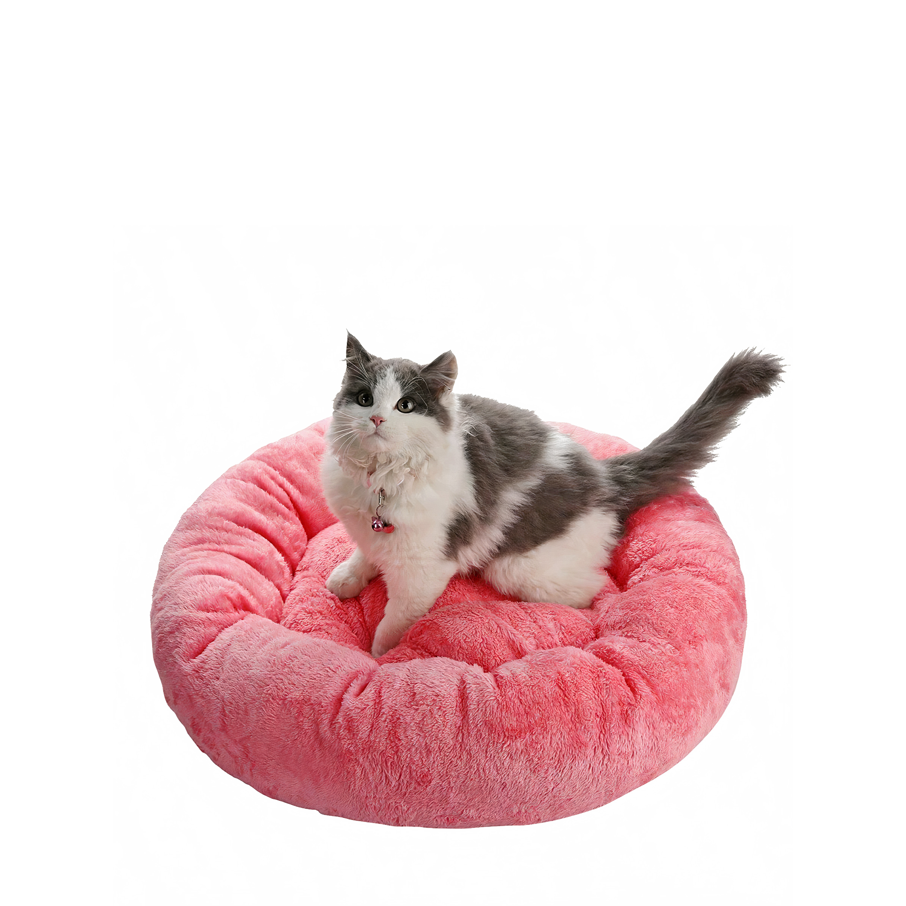 Rose Round Cat Bed - Catcorns