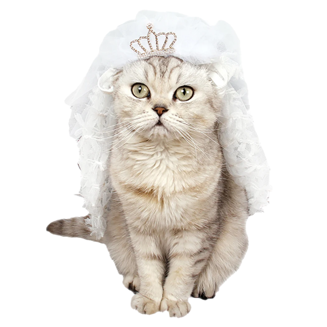 Luxury  Princess Cat Bride Veil