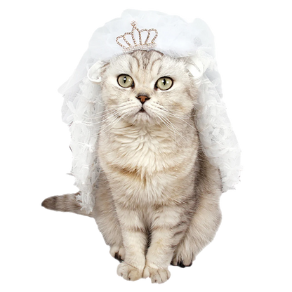 Luxury  Princess Cat Bride Veil