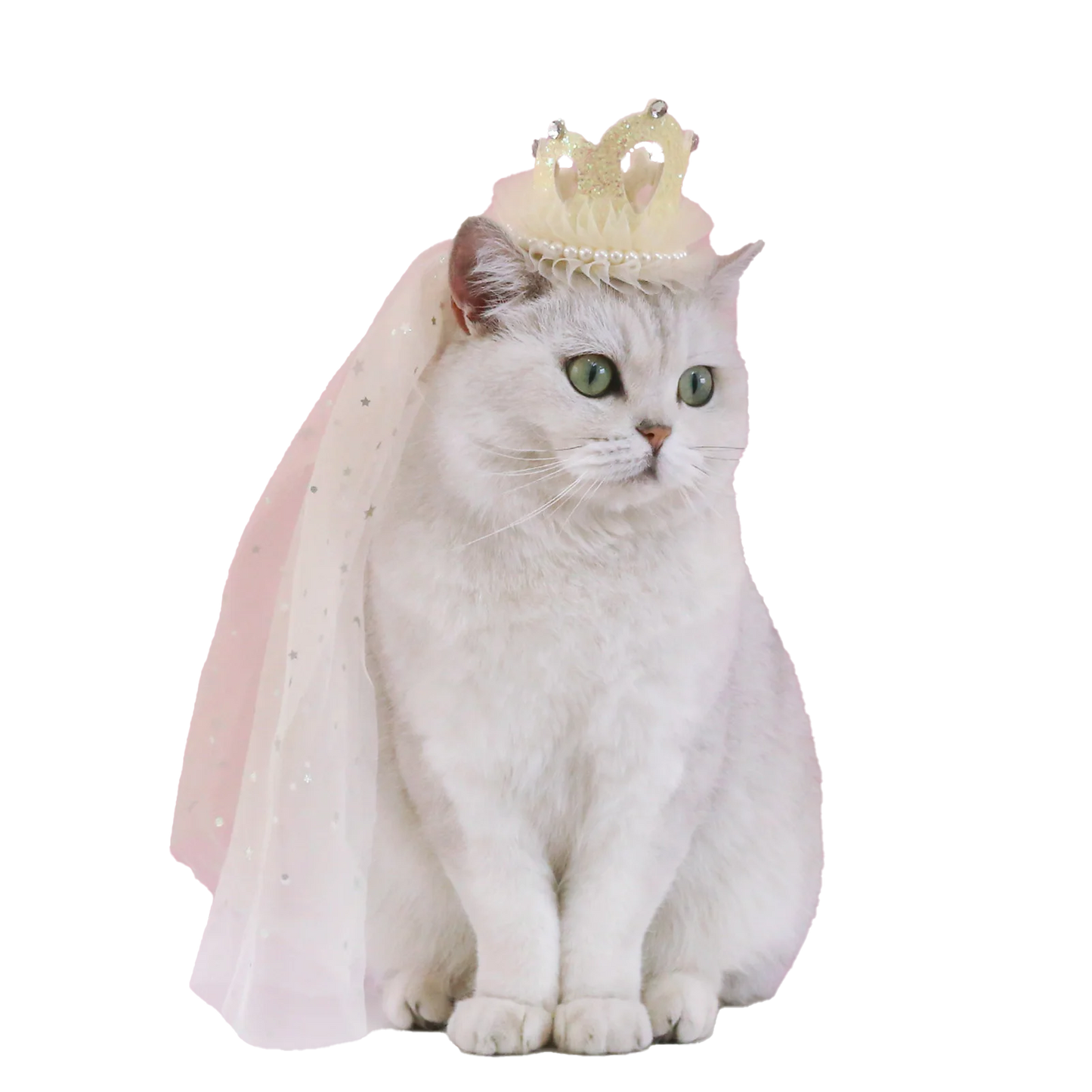 Cute Cat Wedding Veil