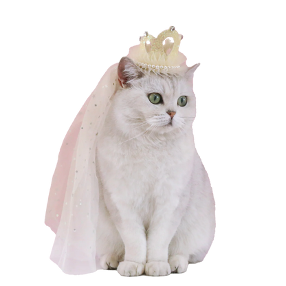 Cute Cat Wedding Veil