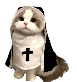 Nun Cat