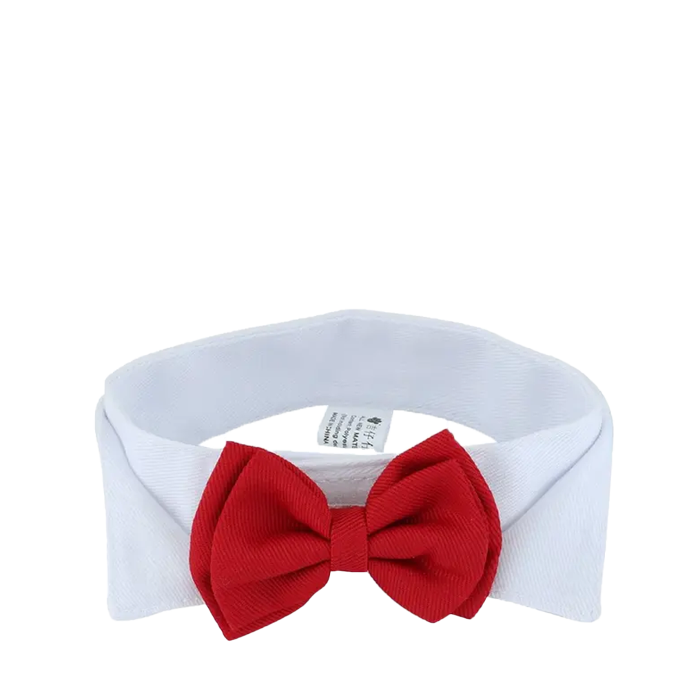 Cute Cat Bow Tie