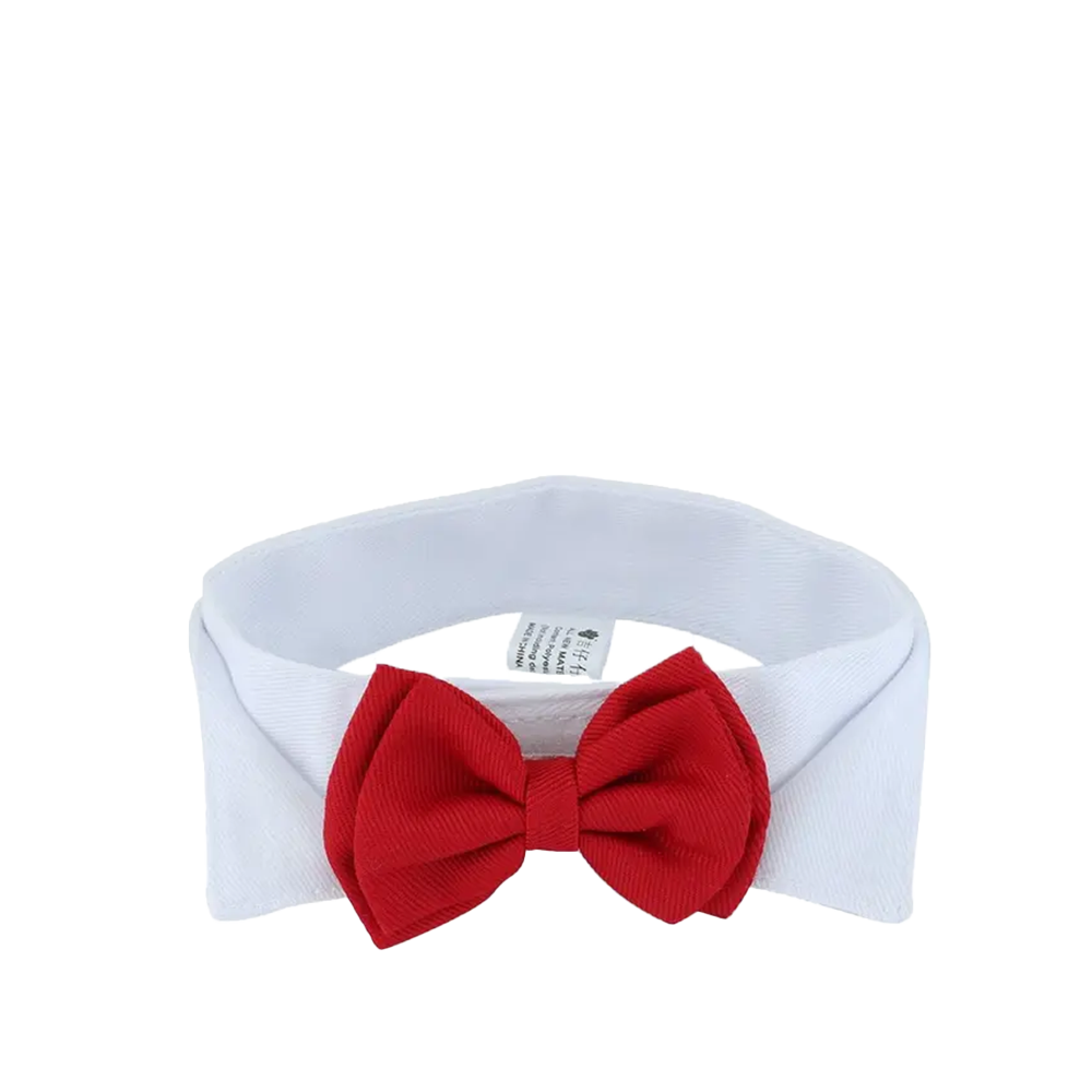 Cute Cat Bow Tie