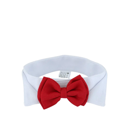 Cute Cat Bow Tie