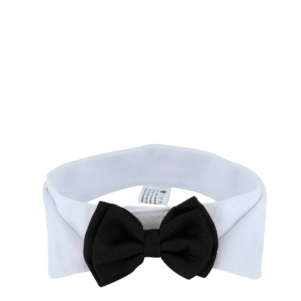 Cute Cat Bow Tie