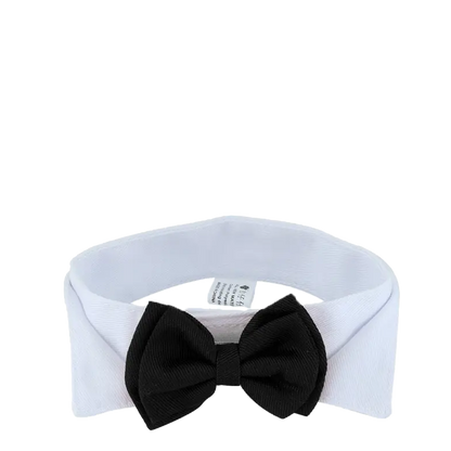 Cute Cat Bow Tie