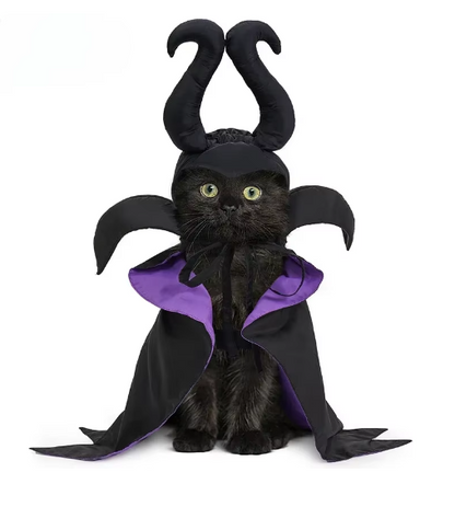 Maleficent Cat Costume