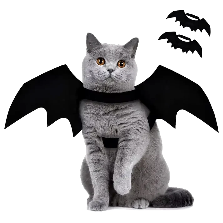 Batcat Wings