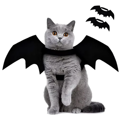 Batcat Wings