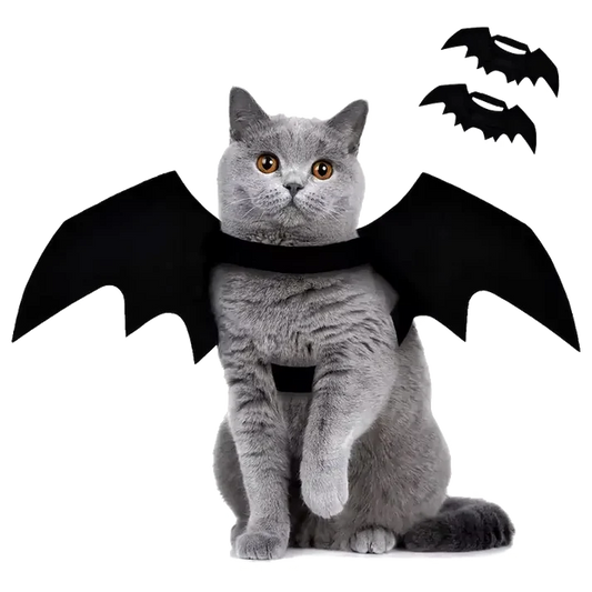 Batcat Wings